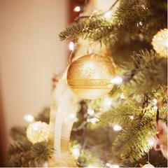 Christmas Tree Christmas Tree