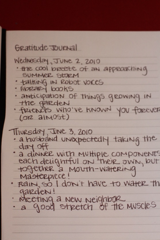 17-printable-gratitude-journal-template-examples-for-2022